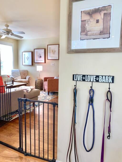 The Comforts' Inn: Mountain Escape Mountainaire Luaran gambar